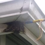 gutter leaking kansas city roof blue springs missouri install new repair