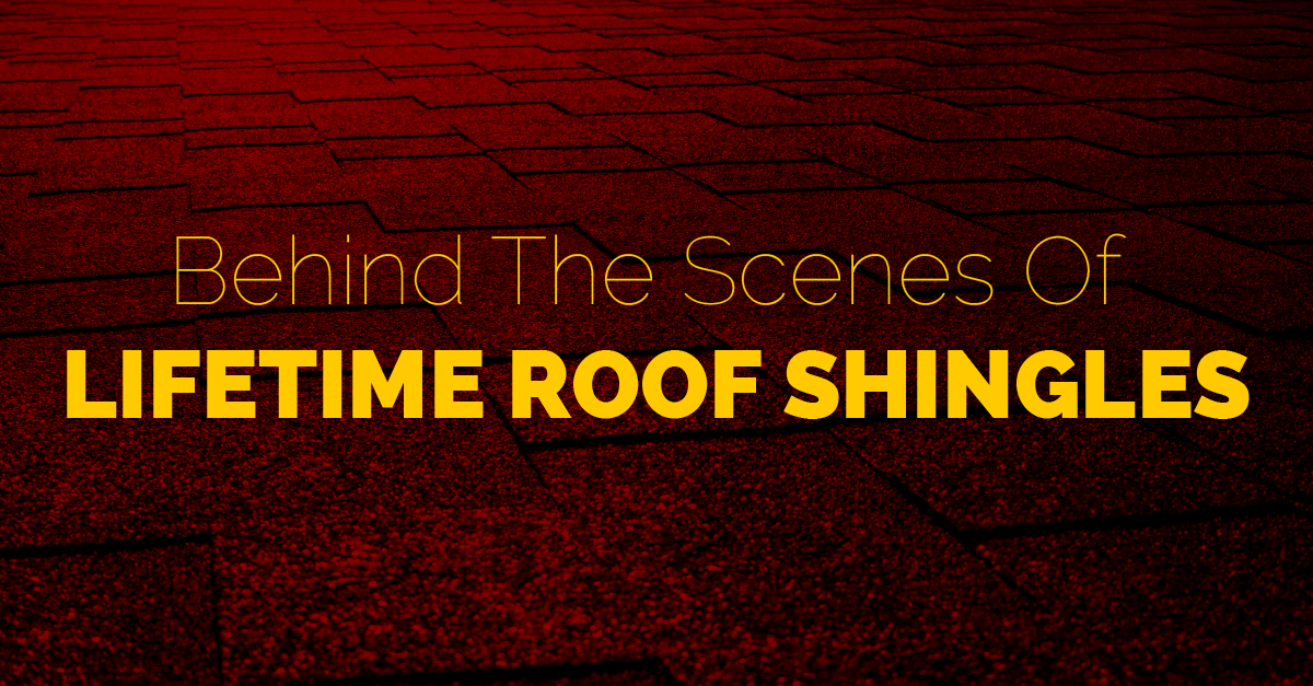 Behind The Scenes Of Lifetime Roof Shingles