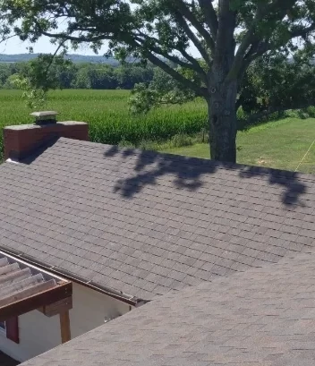 Shingle Roof 