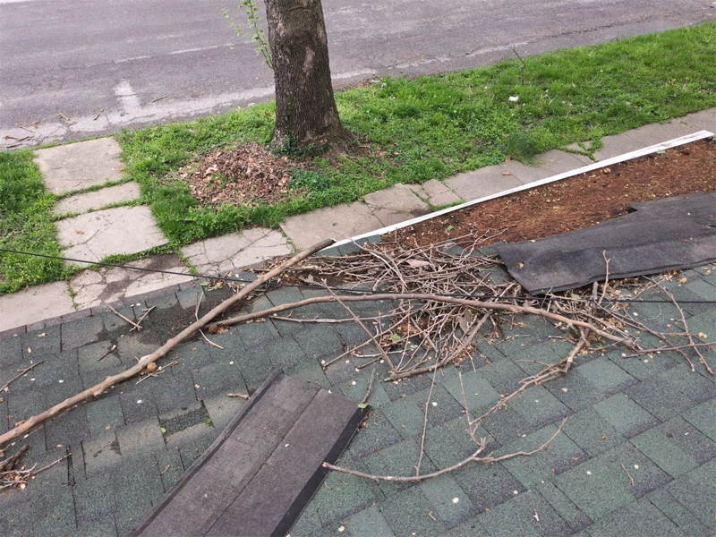 Asphalt Roof With Storm Damage
